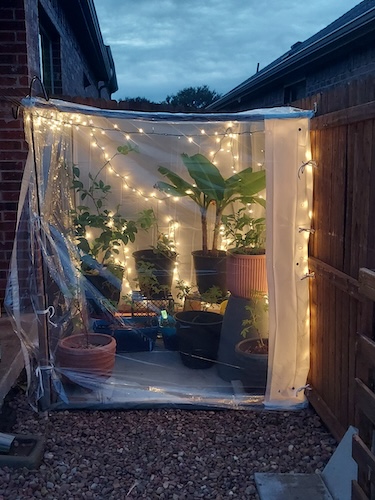 DIY Greenhouse from reclaimed materials (mostly)!